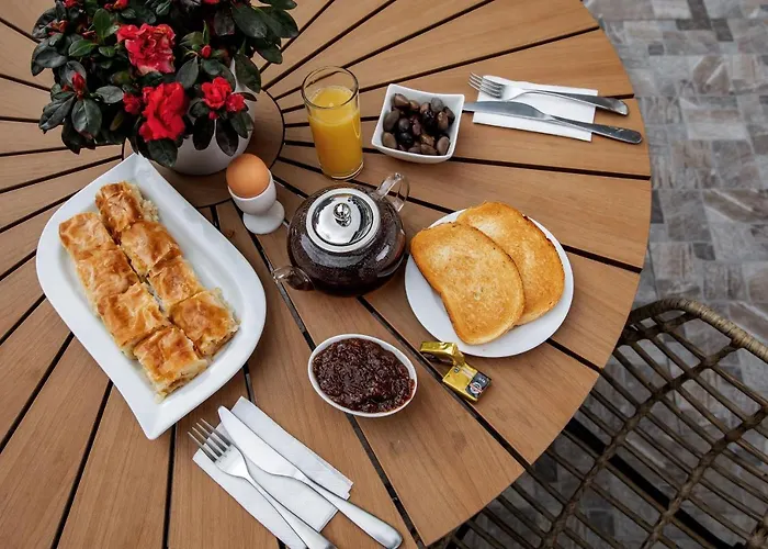 Velinov Boutique With Free Shuttle 酒店 班斯科