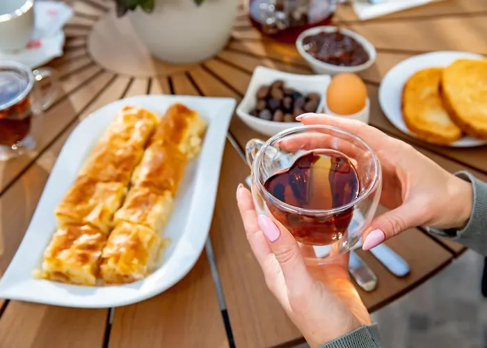 Velinov Boutique With Free Shuttle 酒店 班斯科