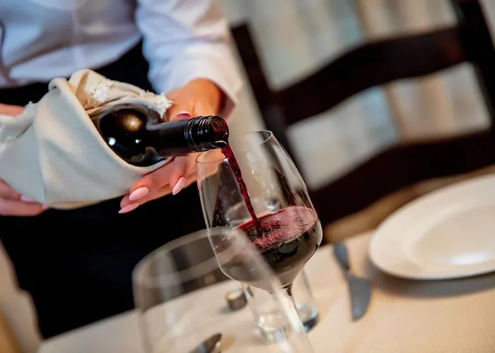 酒店 Velinov Boutique With Free Shuttle 班斯科